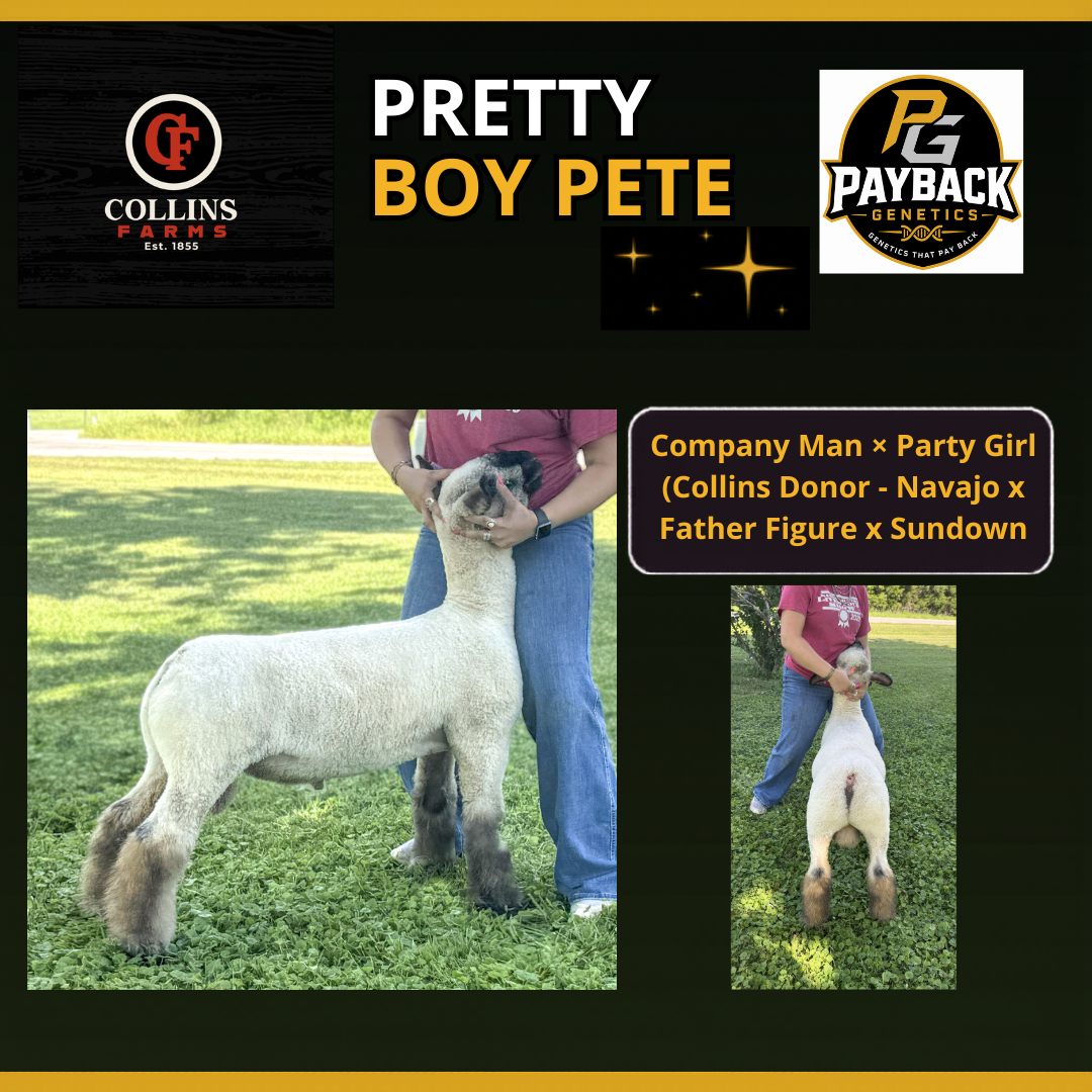 Pretty Boy Pete Frozen Semen