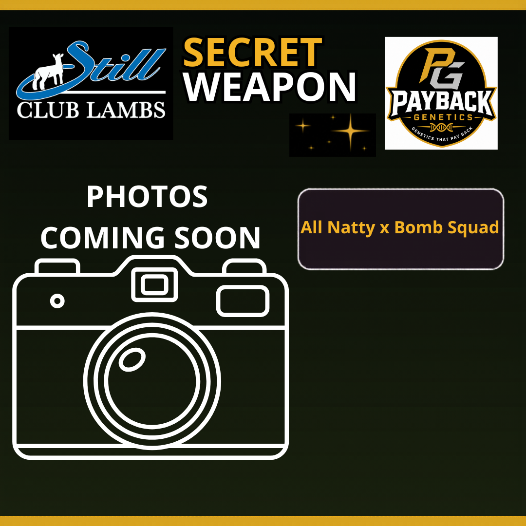 Secret Weapon Frozen Semen