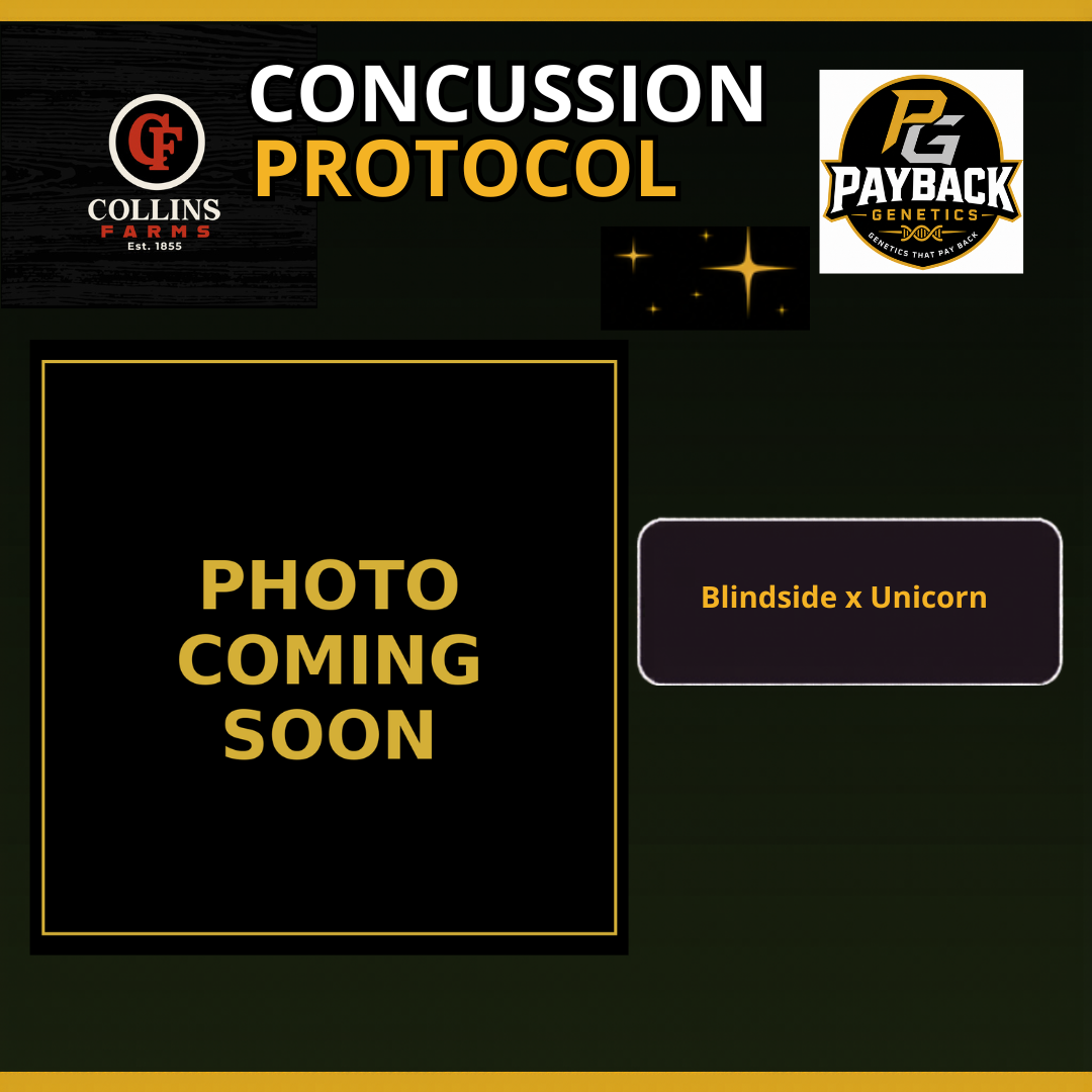 Concussion Protocol