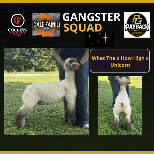 Gangster Squad Frozen Semen