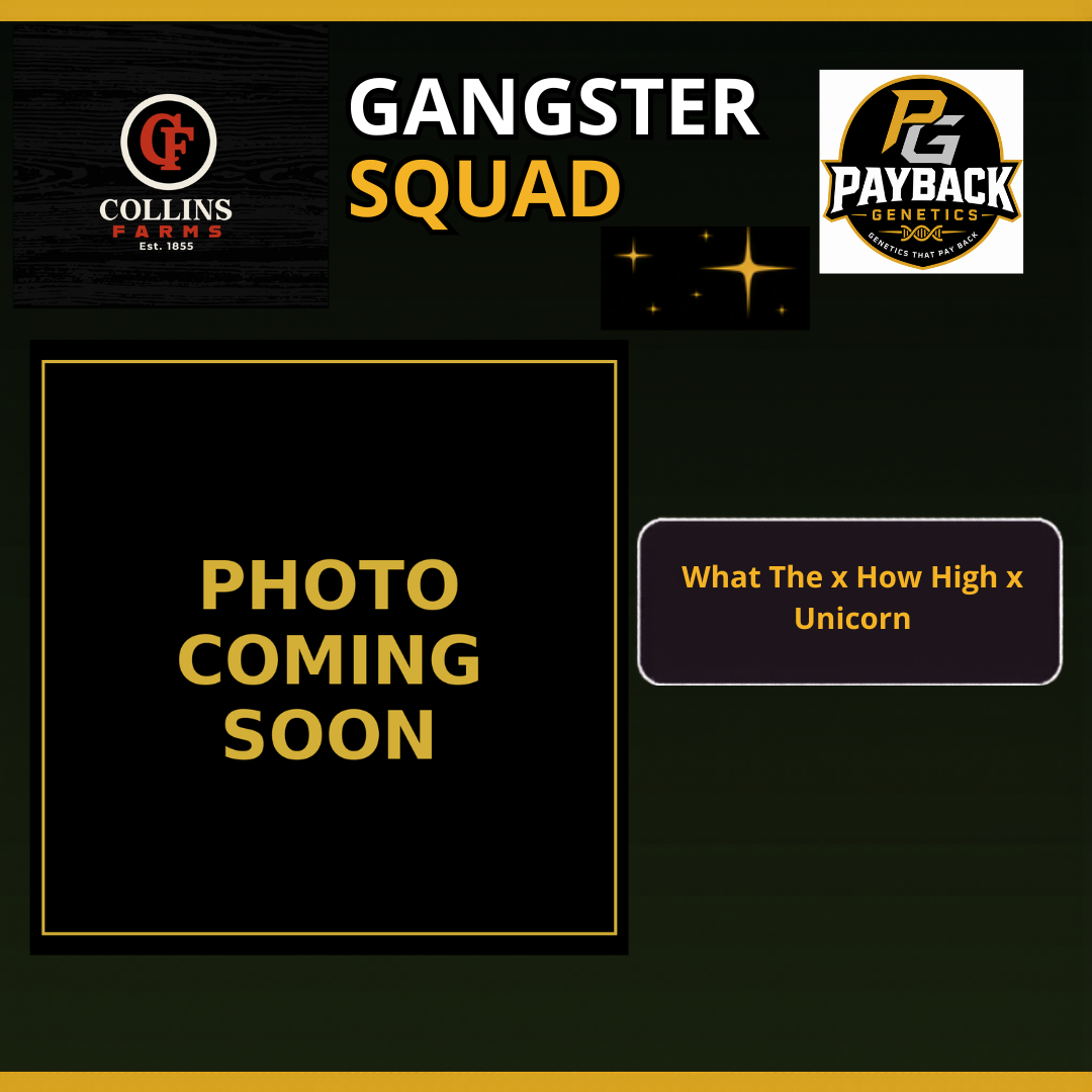 Gangster Squad
